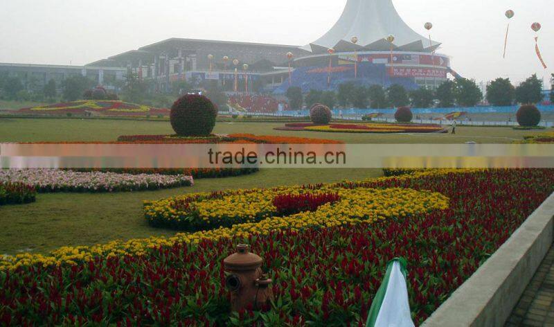 Plastic ball flower pot / big plastic christmas ball