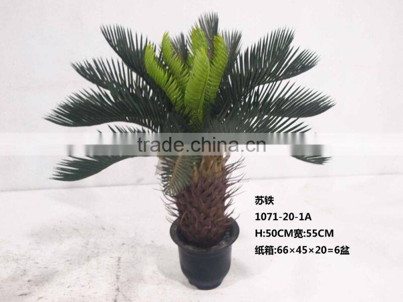 1071-32 plastic pot cycads tree