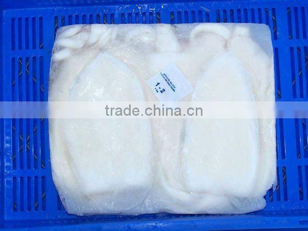 Best Quality Cuttlefish