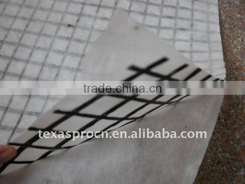 Fiberglass geogrid