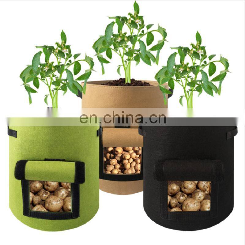 20 Gallon Fabric Felt Pot for tomato planting