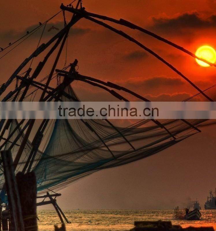 DSTB Double Knot Nylon Monofilament Fishing Net