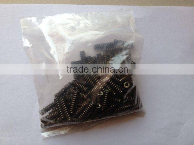 fuel injector spring 2434614020