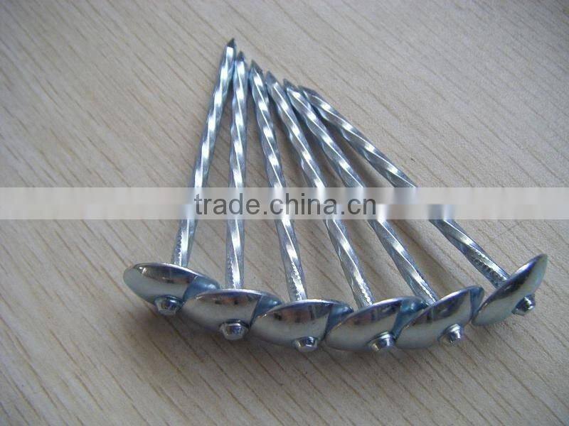 roofing nails machinery