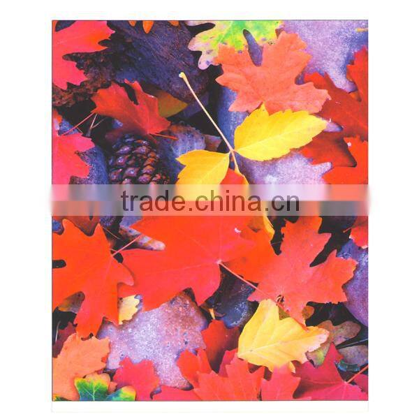 glossy 180mic self adhesive eco solvent glossy pp film