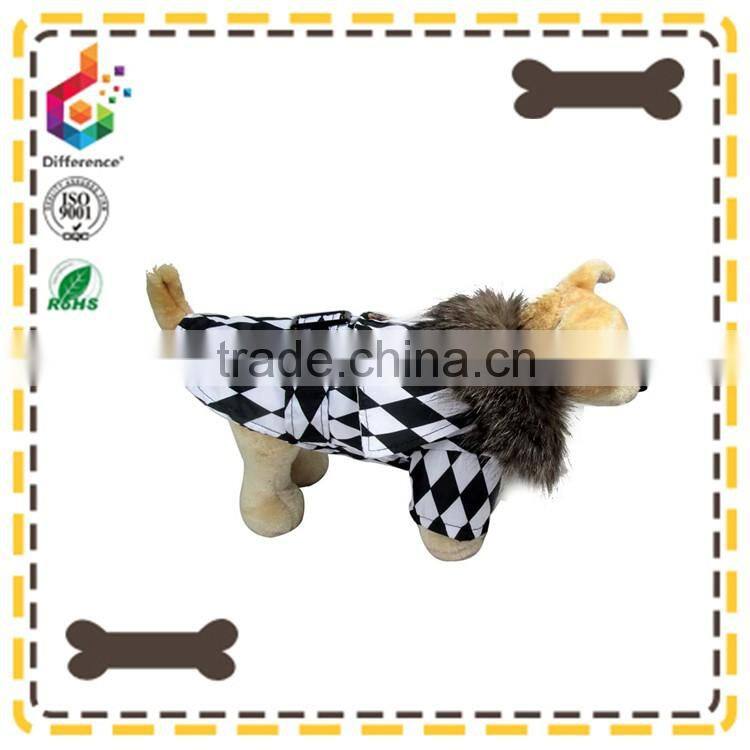 boy dog rain hat coat