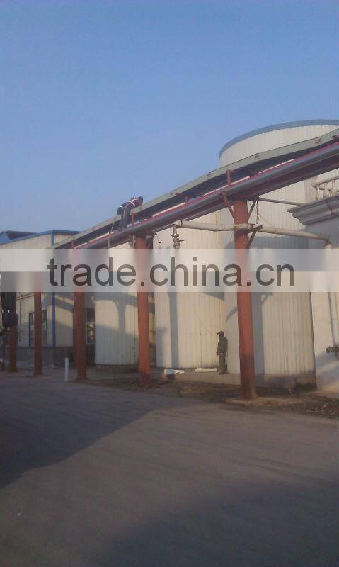 low price corn gluten feed