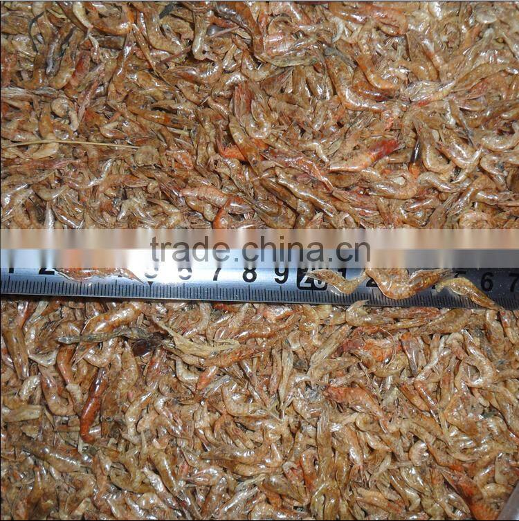 Rich-nutrition Pet Food Sun Dried Shrimp For Fish