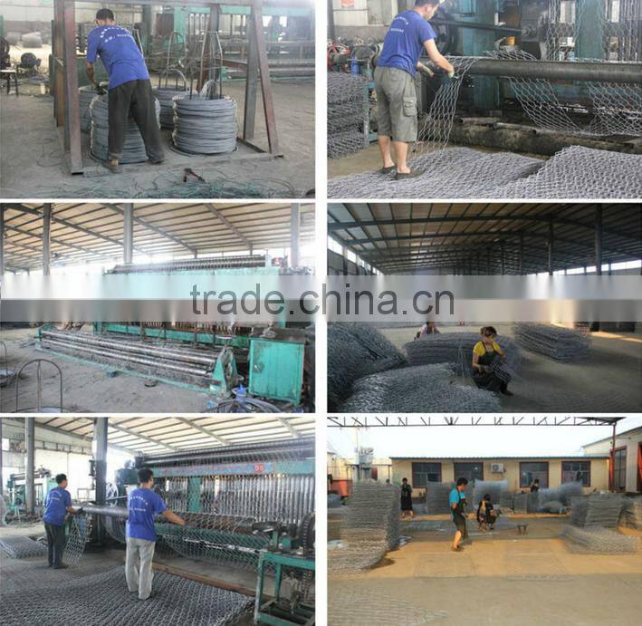 galvanized welded wire mesh gabion box