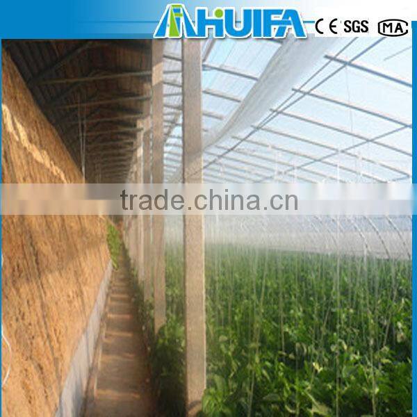 Agricultural Solar Green house For Tomatoes