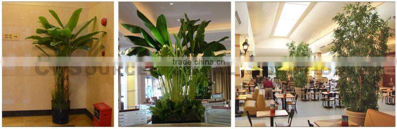 Artificial Banana Tree for Garden Landscape, Decorative Artificial Plant