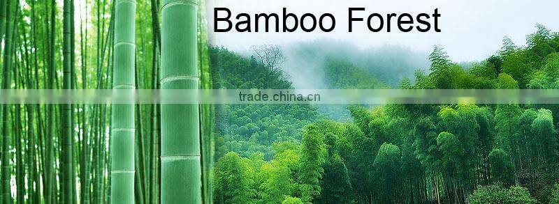 Dubai silver Coated coal for hookah shisha