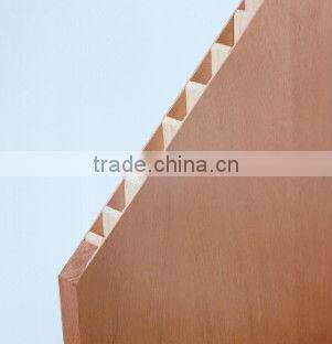 interior flush hollow core doorTWFWD-12