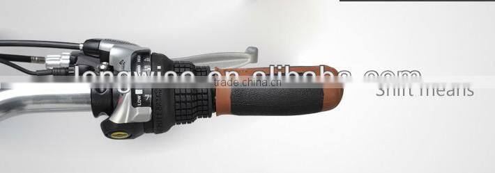 Brushless Gear motor bicycle electric