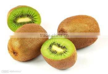 High Quality Fresh Kiwi