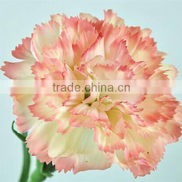 latex flower real touch carnation decorative carnation for Mother's day
