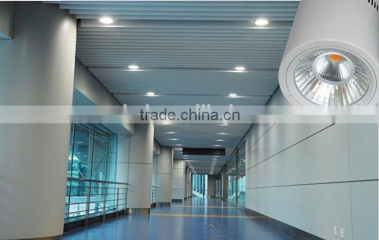 housing white surface mounted COB led downlight 25w