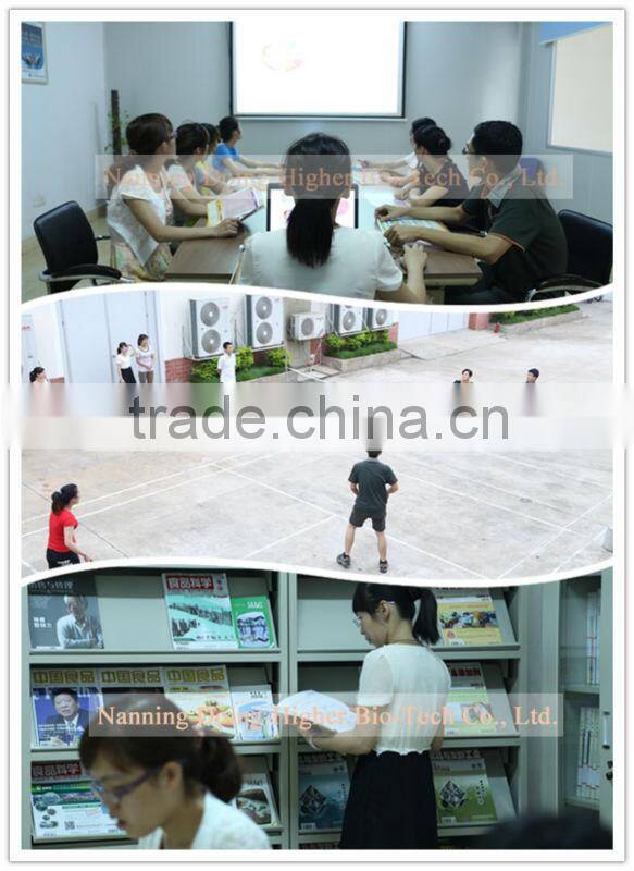 China factory professional produce bromelain enzyme