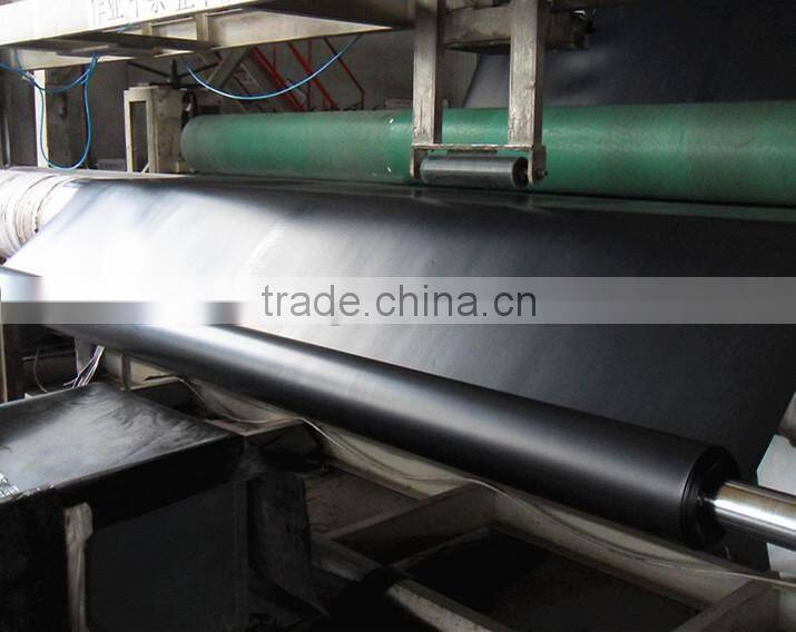 fish farm pond liner hdpe geomembrane sheet