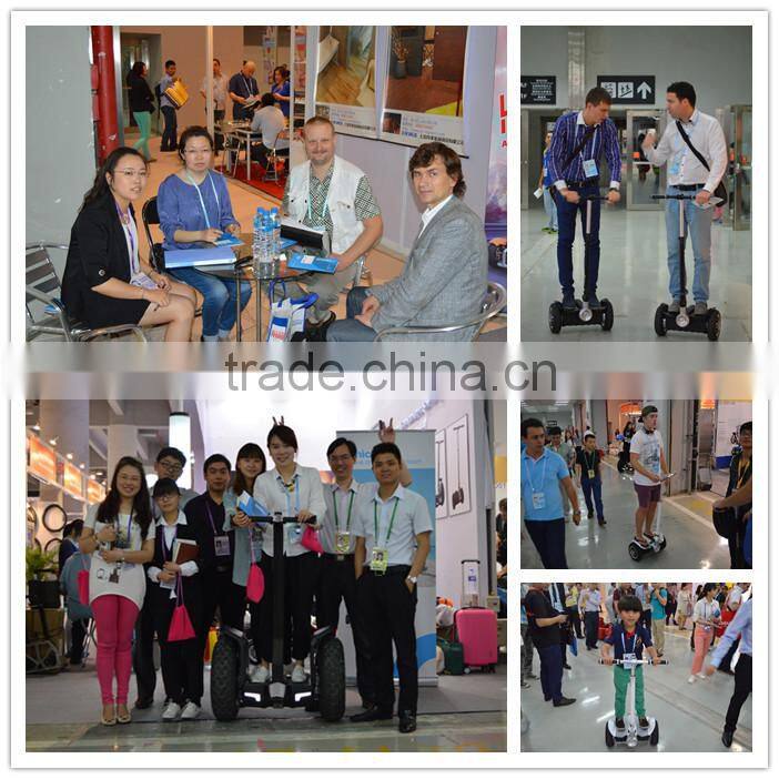 CHIC LS Advertising eco scooter low price eco e motorcycle scooters