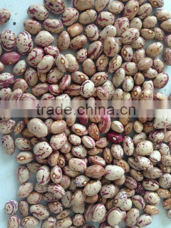 2014 light speckled kidney beans