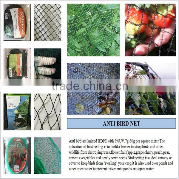 Chinese Credible Supplier Net Anti Bird Netting