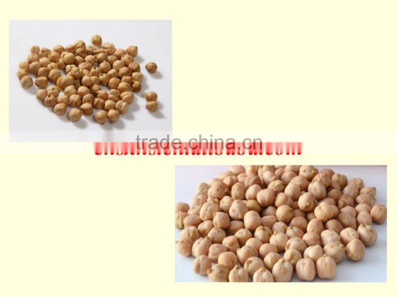 Wholesale Chickpea with great quality and best price