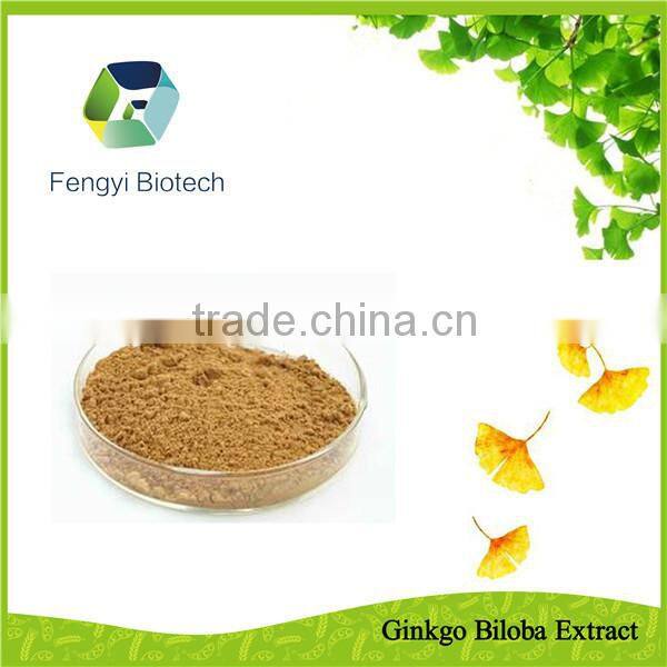 Ginkgo Biloba Extract/Ginkgo Biloba Seed/Ginkgo Biloba leaves