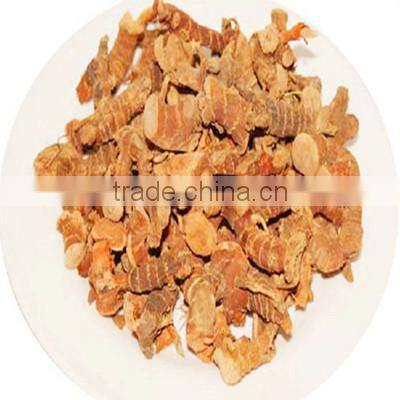 Well Dry Best Price Chinese Galanga Root