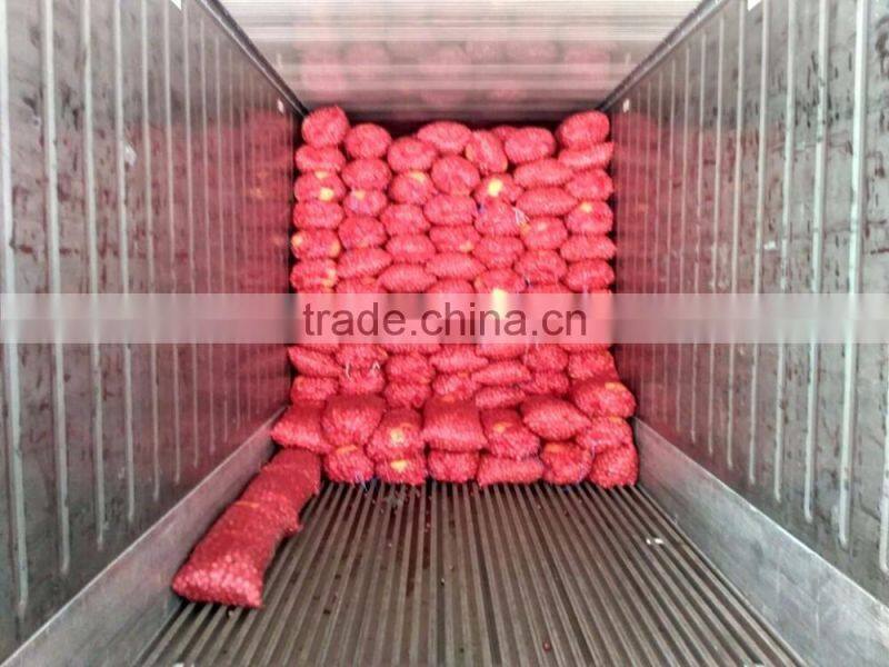 Exporters, Producer, Suppliers of Fresh Onions/Red Onions
