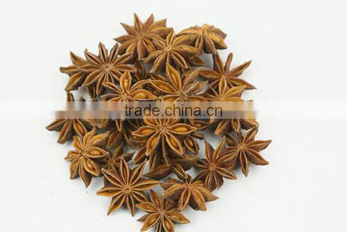 High quality dried aniseed