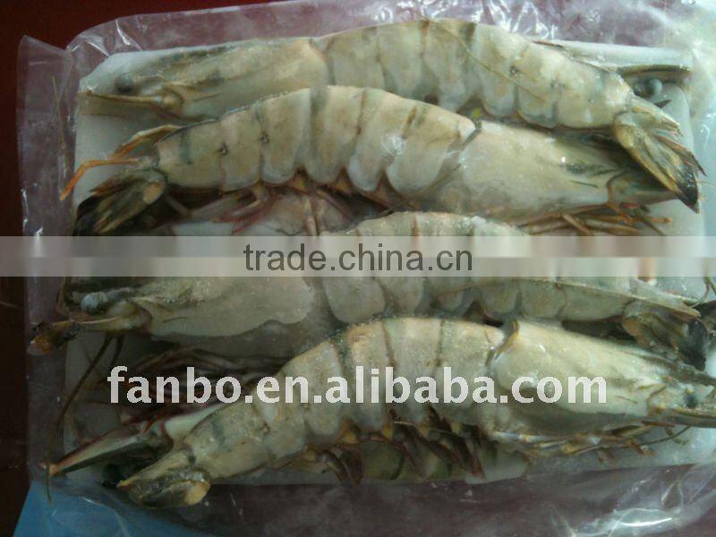 frozen black tiger shrimp
