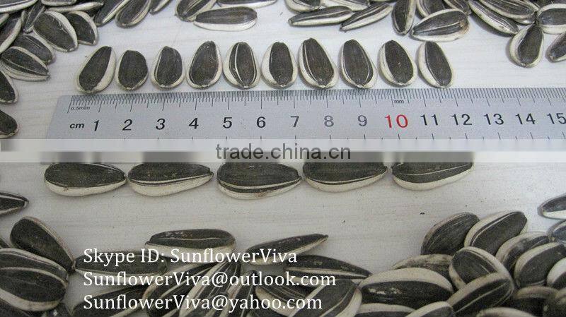 5009 24/64 sunflower seeds