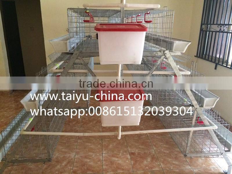 Chicken cage 120 birds 3 tier or 256 birds chicken cage hot sale in Zimbia