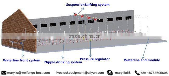 automatic drinker for birds/ nipple drinking system/ chicken watering system