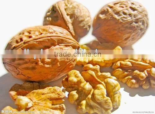 2012 Hot Sell Walnut Sheller Machine