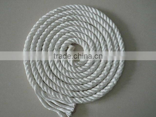 white boundary rope in cricket