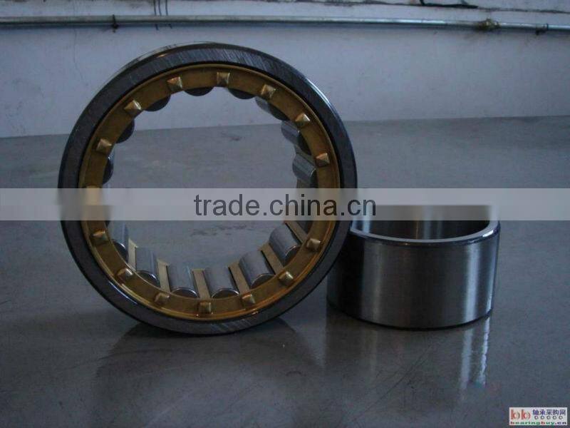 Motorcycle wheel cylinder bearing SL185013