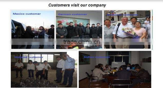 Customized casting spacer/Tussenstuk(Dutch)