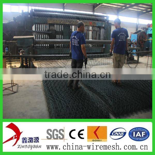 pvc hexagonal netting mesh/hexagonal mesh