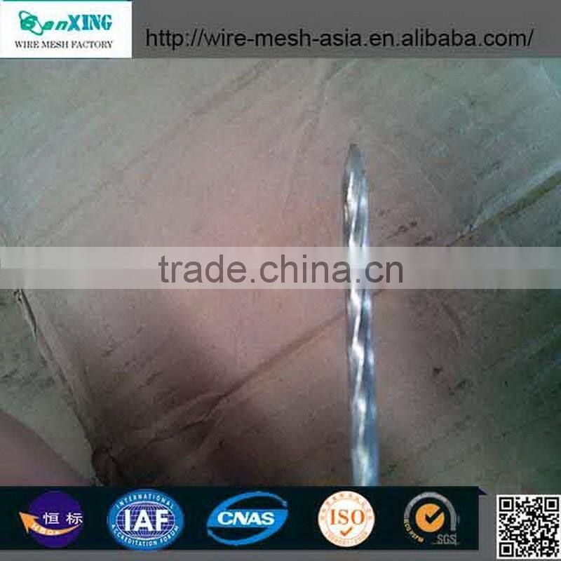 Common Wire Nail Construction Roofing Nail Iron Nail Building material