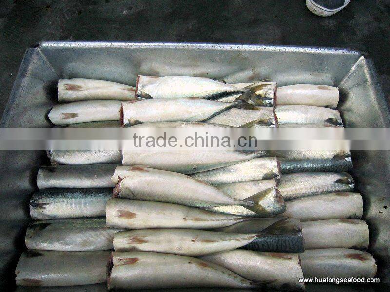 HGT horse mackerel seafood mackerel