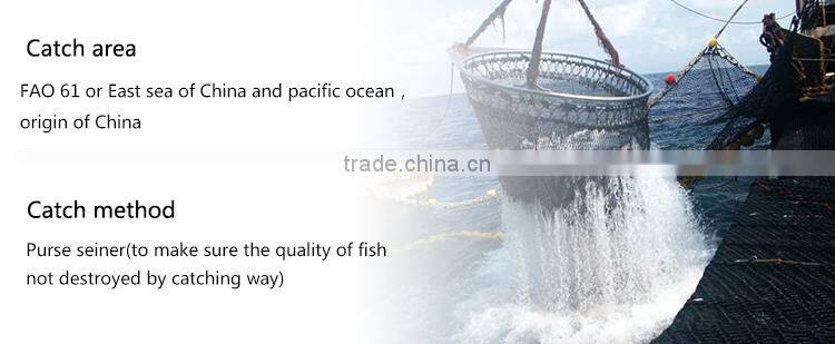 Hot Selling 18 months Shelf Life Frozen on Board Bonito