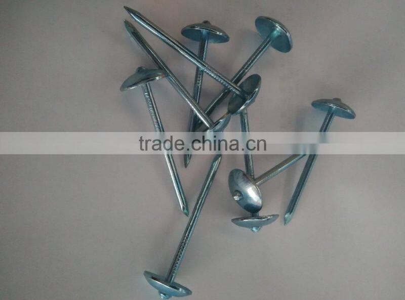 blue galvanized roofing nails to Indonesia