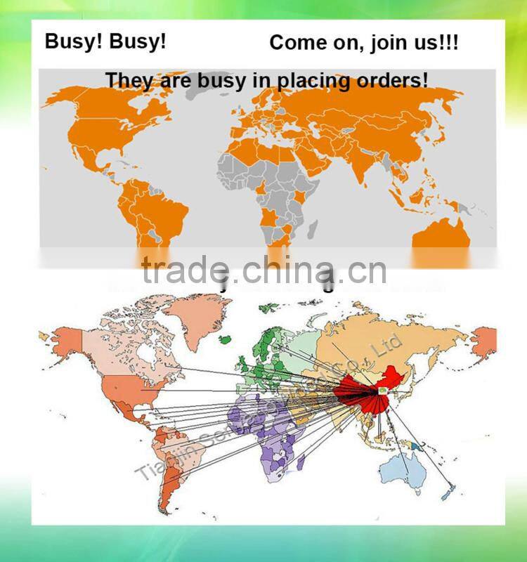 China birch wooden disposable individually wrapped ice cream spoon