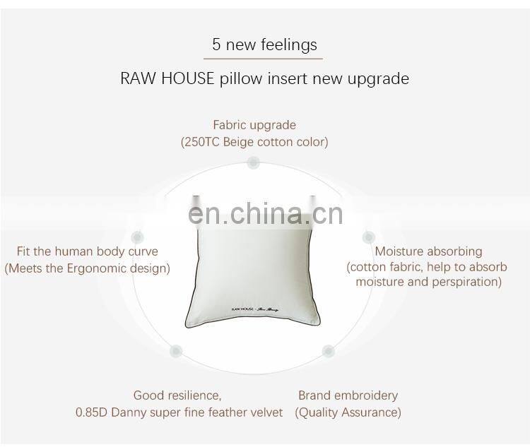 RAWHOUSE COTTON 100% 16x16 pillow insert