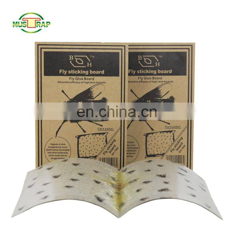 Best selling cheap price catch fruit fly glue trap sticky fly paper