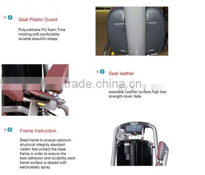best selling machinery/gym equipment factory/body strong fitness equipment/Commercial triceps dip TZ-8050