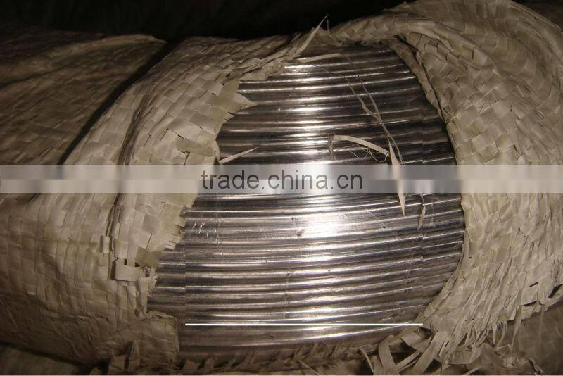 ganado cerca de alambre ovalada