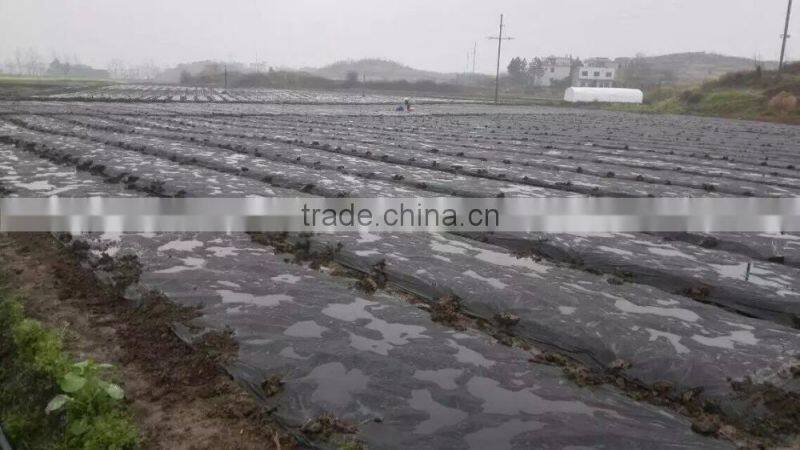 Lowest price with high quality agricultural black mulch film uv polyethylene film